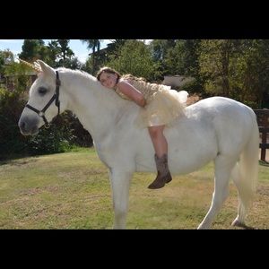 Meet your Posher, Laurel